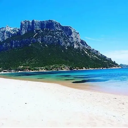 Tenuta Su Mastru Casa vacanze Olbia